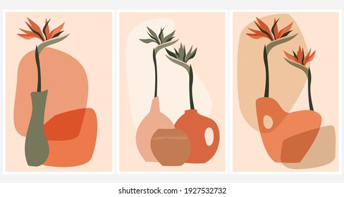 A set of compositions with African tropical exotic plants and abstract vases, strelitzia flowers. A trendy contemporary design collage in an ecological style. Minimalist shapes in pastel colors.