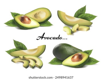 A set of compositions with avocado. Vector illustration