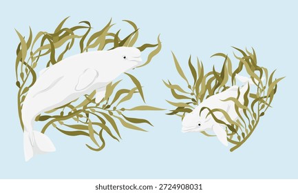 Un conjunto de composiciones con una ballena beluga, su cría y el bosque de algas. Ilustraciones vectoriales realistas de animales salvajes.