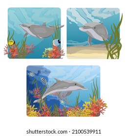 A set of compositions with Common bottlenose dolphin Tursiops truncatus swim in warm water with green algae, corals, tropical fish and other sea creatures. Realistic vector underwater landscape