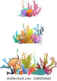 A set of compositions from corals and algae. Bright colored floral boutonnieres and finials for advertising, menus, creativity, decoration.