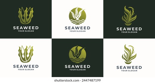 Set of compositions from corals, reefs and algae. Can be used to create logos, icons, patterns. Ocean life. Sea bottom. Seabed vector illustration.