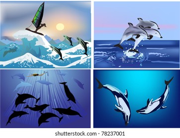 set of compositions with dolphins illustration
