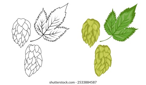 Un conjunto de composiciones de hojas y frutos de lúpulo. Planta de hierba de lúpulo para cervecería de cerveza. Rama de lúpulo. Para el diseño de un cartel, menú de una cervecería artesanal