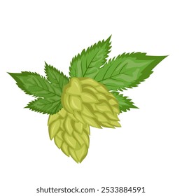 Un conjunto de composiciones de hojas y frutos de lúpulo. Planta de hierba de lúpulo para cervecería de cerveza. Rama de lúpulo. Para el diseño de un cartel, menú de una cervecería artesanal.