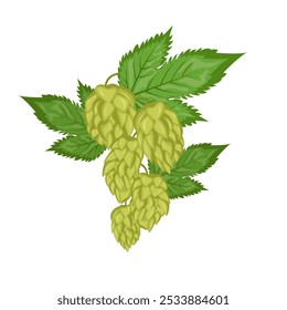 Un conjunto de composiciones de hojas y frutos de lúpulo. Planta de hierba de lúpulo para cervecería de cerveza. Rama de lúpulo. Para el diseño de un cartel, menú de una cervecería artesanal.