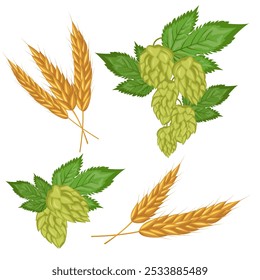 Un conjunto de composiciones de hojas y frutos de lúpulo y trigo o cebada. Planta de hierba de lúpulo para cervecería de cerveza. Rama de lúpulo. Para el diseño de un cartel, menú de una cervecería artesanal.