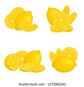 Set of compositions with lemon. Vector illustration. Citrus from different angles.