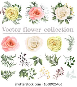 Set of compositions of pink, white, beige roses, green plants and leaves, eucalyptus. All elements are isolated on a white background.