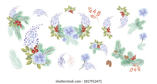 Un conjunto de composiciones de abetos, flores, bayas, para crear tarjetas de Navidad sobre un fondo blanco