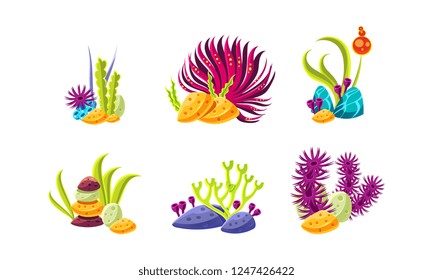 Set of compositions with various sea algae, corals and stones. Aquarium decor. Flat vector for mobile game
