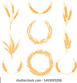 Set of compositions of wheat ears. Vector illustration on white background.