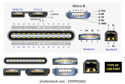 set of computer connectors or usb universal connector symbols or various usb plug connector mini micro lightning type concept. eps 10 vector