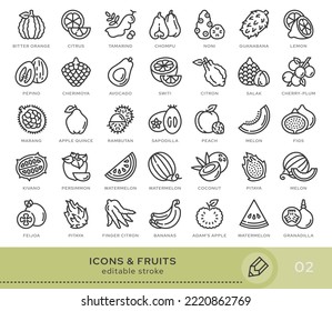 Set of conceptual icons. Vector icons in flat linear style for web sites, applications and other graphic resources. Set from the series - Fruits. Editable stroke icon.