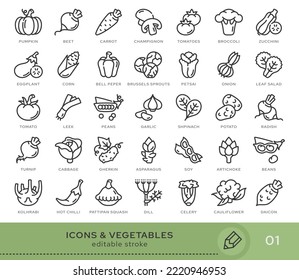 Set of conceptual icons. Vector icons in flat linear style for web sites, applications and other graphic resources. Set from the series - Vegetables. Editable stroke icon.