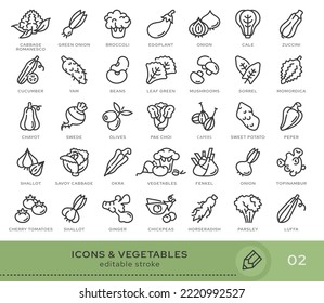 Set of conceptual icons. Vector icons in flat linear style for web sites, applications and other graphic resources. Set from the series - Vegetables. Editable stroke icon.