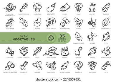 Set of conceptual icons. Vector icons in flat linear style for web sites, applications and other graphic resources. Set from the series - Vegetables. Editable outline icon.	
