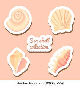 Set of conch flat cartoon vector Illustration. Colorful tropical beach shell underwater icon. Aquatic nature. Sticker collection.