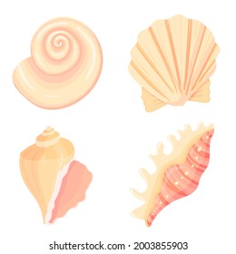 Set of conch flat cartoon vector Illustration. Colorful tropical beach shell underwater icon. Aquatic nature. Sticker collection.