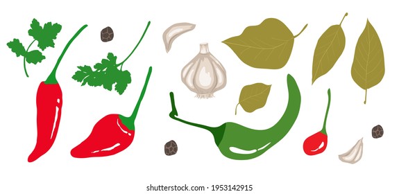 Conjunto de condiciones. Clásicos de colores para cocinar. Ingredientes. Especias aisladas para tu diseño.