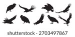 set of condor silhouettes vector