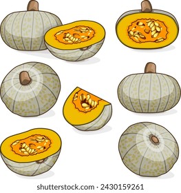 Set von Confection Squash. Winterkürbis. Cucurbita maxima. Obst und Gemüse. Clipart. Isolierte Vektorgrafik.