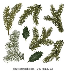 A set of coniferous branches