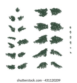 Set of coniferous branches