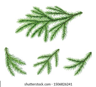 Set of coniferous Christmas tree branches. Fir branches for festive design