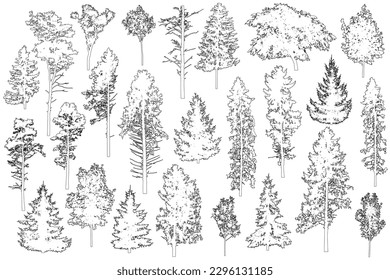 Set of coniferous and deciduous trees for architecture and landscape design, line drawing, contour. Vector illustration