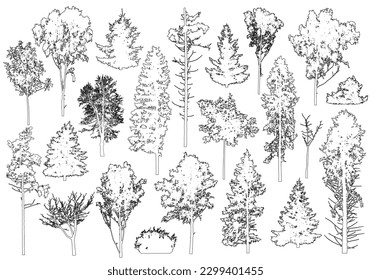 Set of coniferous and deciduous trees for architecture and landscape design, line drawing, contour. Vector illustration