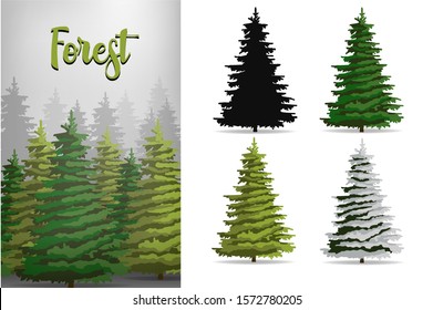 Set of coniferous trees for all seasons.