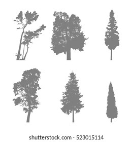 Set of coniferous trees gray silhouettes. Vector pines icons for your design.