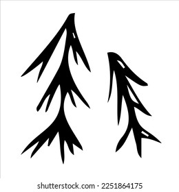 A set of coniferous trees hand-drawn. Spruce, pine. Vector hand-drawn doodles. Template design, clipart, logo, icon, sketch.