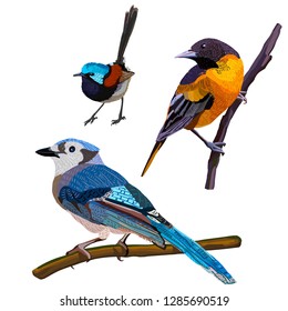 A set consisting of three bright, beautiful, exotic, unusual birds.