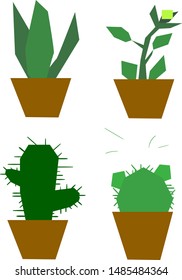 The set consists of four potted plants. Among them there is a cactus.