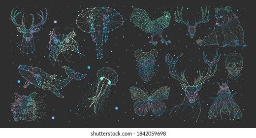 set of constellation of animals , vector graphics