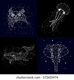 set of constellation , elephant, owl, whales , jellyfish, star , vector graphics