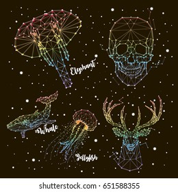 Set of constellations iridescent coloring. Elephant, whale, jellyfish, deer, skull, vector
