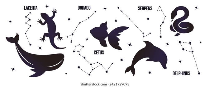 Set of constellations of wild animals isolated on white background