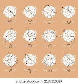 Set of constellations and zodiac signs, floral elements. Vector black and white illustration. 