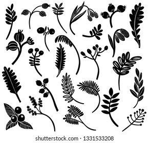 Set contains 25 different  leaves & berries.You can create your own beautiful compositions, patterns, illustrations and ornaments.