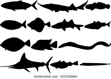 The set contains sea fish. Vector image.