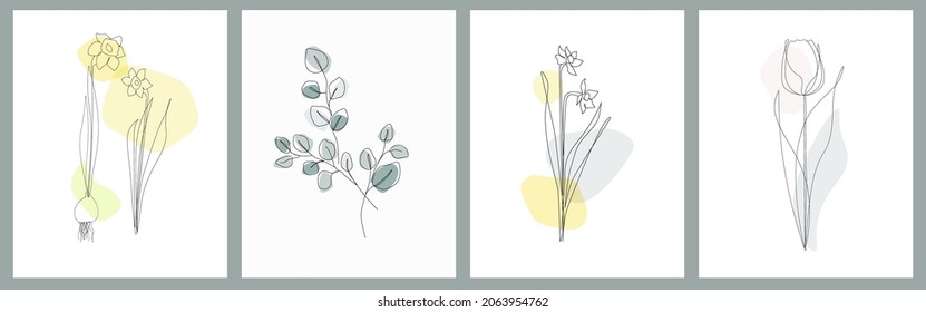 A set of contemporary abstract art posters with plants and flowers. Daffodils, a tulip, a branch eucalyptus are drawn by hand with lines on a background of simple shapes. Spring greeting card. Vector.