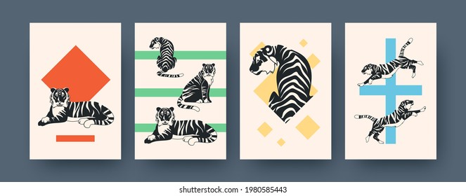 Set of contemporary art posters with active tiger. Vector illustration. Collection of running, sitting, lying tiger in flat design. Africa, animal, wildlife, cat, jungle concept for media design