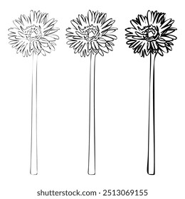 Set of continuous line drawing. Black and white Floral Bouquets. Flower Coloring Page. Floral Line Art. Fine Line Lilies illustration. Hand Drawn flowers. Botanical Coloring. Wedding invitation flower