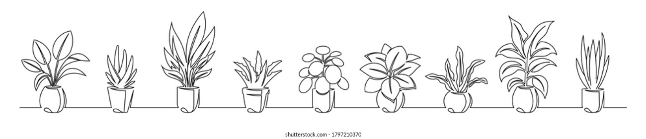 Set of continuous line drawing of a flowers in a pots. Beautiful flowers isolated on a white background. Vector illustration