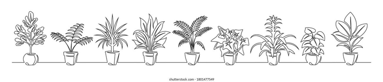 Set of continuous line drawing of a flowers in a pots. Beautiful flowers isolated on a white background. Vector illustration - Shutterstock ID 1801477549