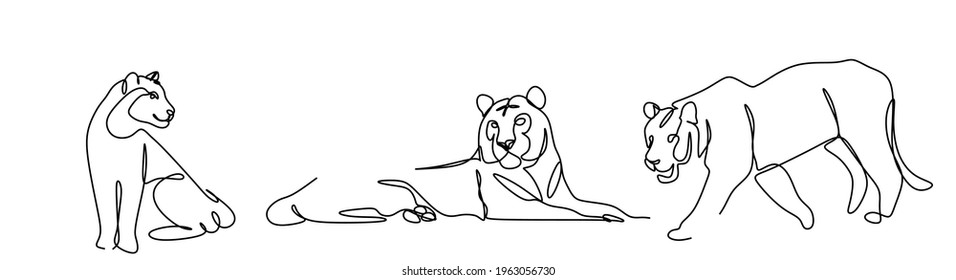 a set of continuous line drawings of the silhouette of the Chinese tiger 2022, simple hand-drawn Asian elements for a poster, brochure, banner, invitation card, vector illustration, isolated on a whit
