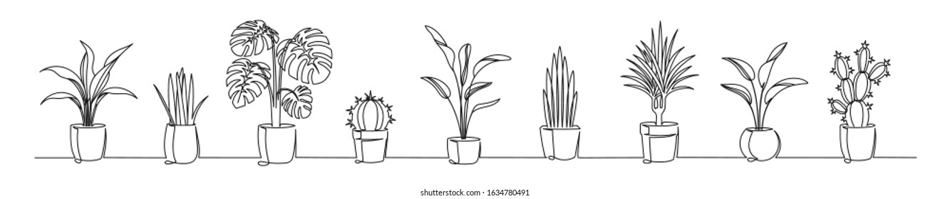 Set continuous one line drawing flowers in pots  Beautiful flowers isolated white background  Vector illustration